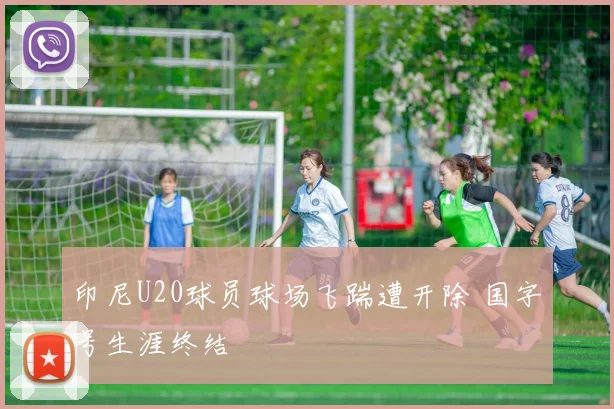 印尼U20球员球场飞踹遭开除 国字号生涯终结