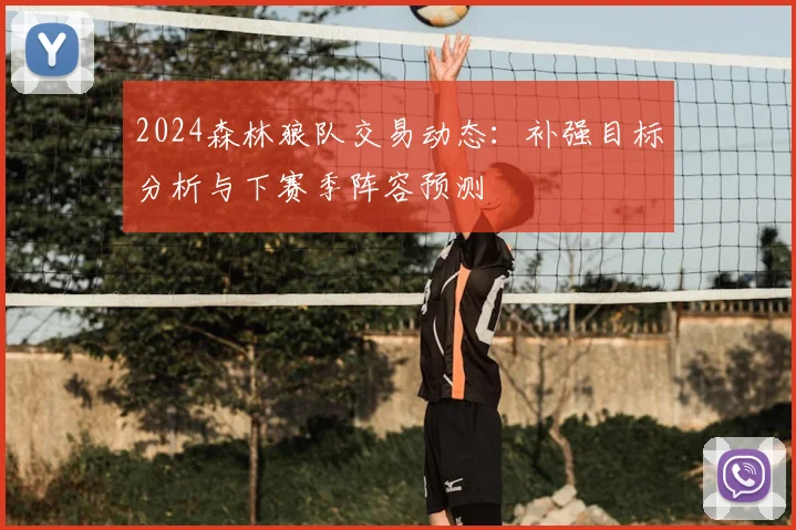 2024森林狼队交易动态：补强目标分析与下赛季阵容预测