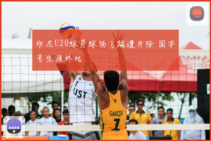 印尼U20球员球场飞踹遭开除 国字号生涯终结