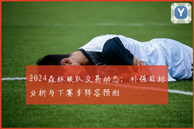 2024森林狼队交易动态：补强目标分析与下赛季阵容预测